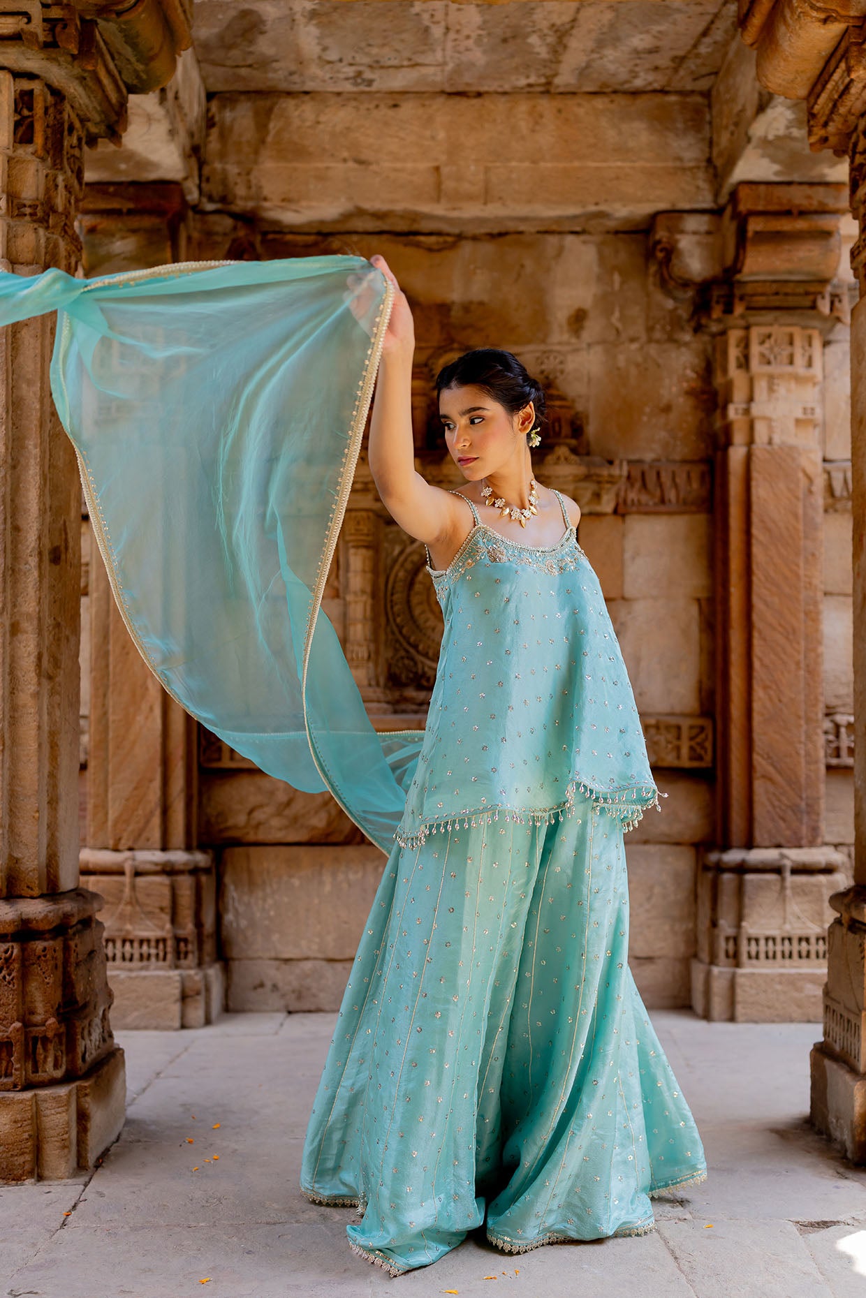 Sky Blue Embroidered Tissue Sharara Set