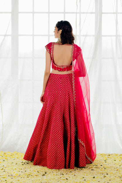 Hot Pink Silk Printed & Embroidered Lehenga Set