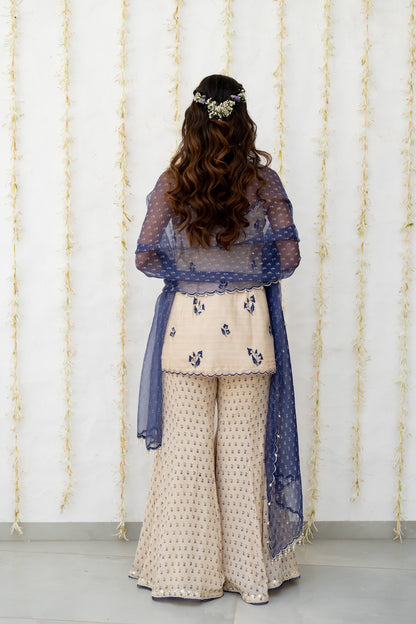 Ecru Silk Embroidered Sharara Set