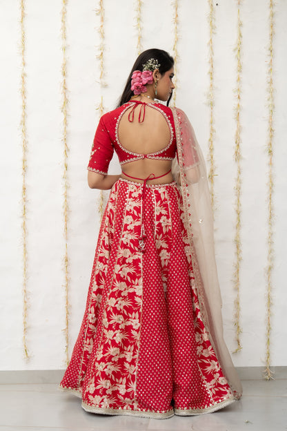 Cherry Red Silk Embroidered Concept Lehenga Set